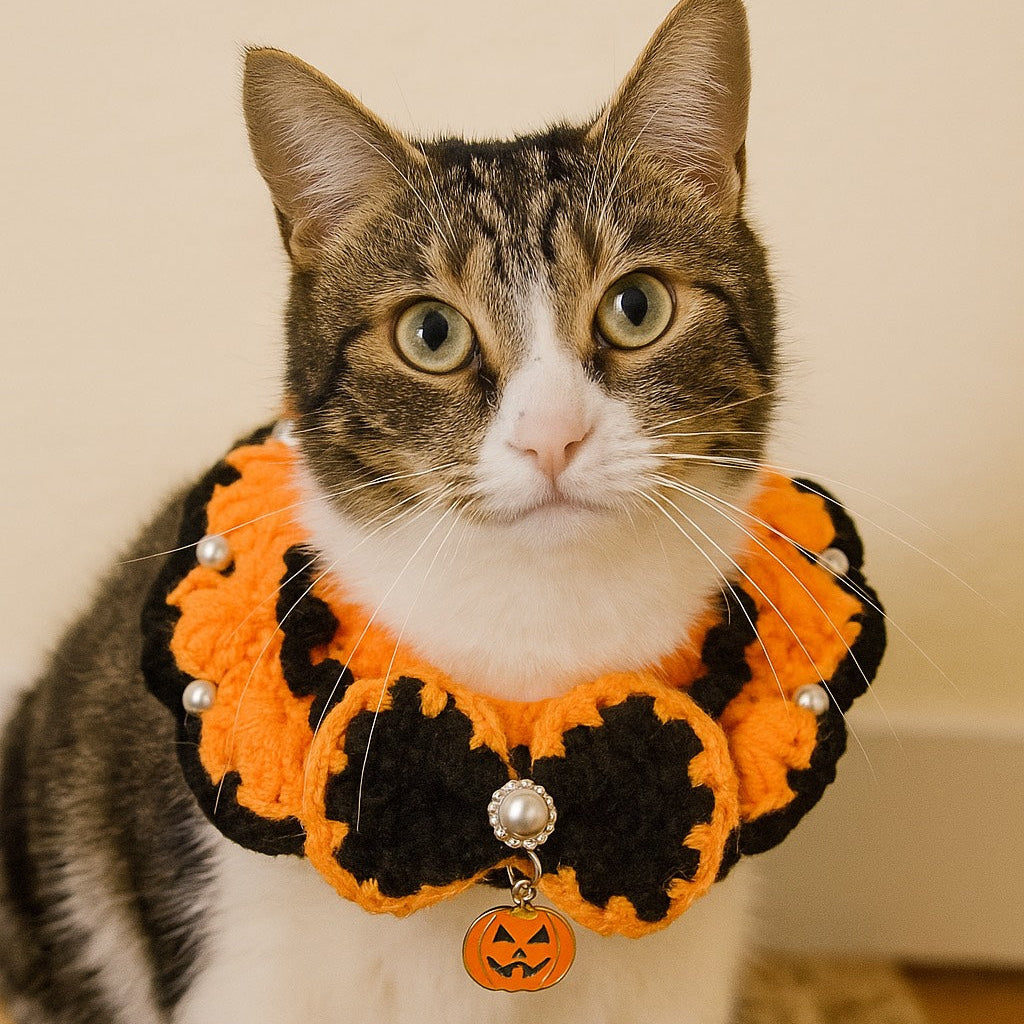 Cat Halloween Collar